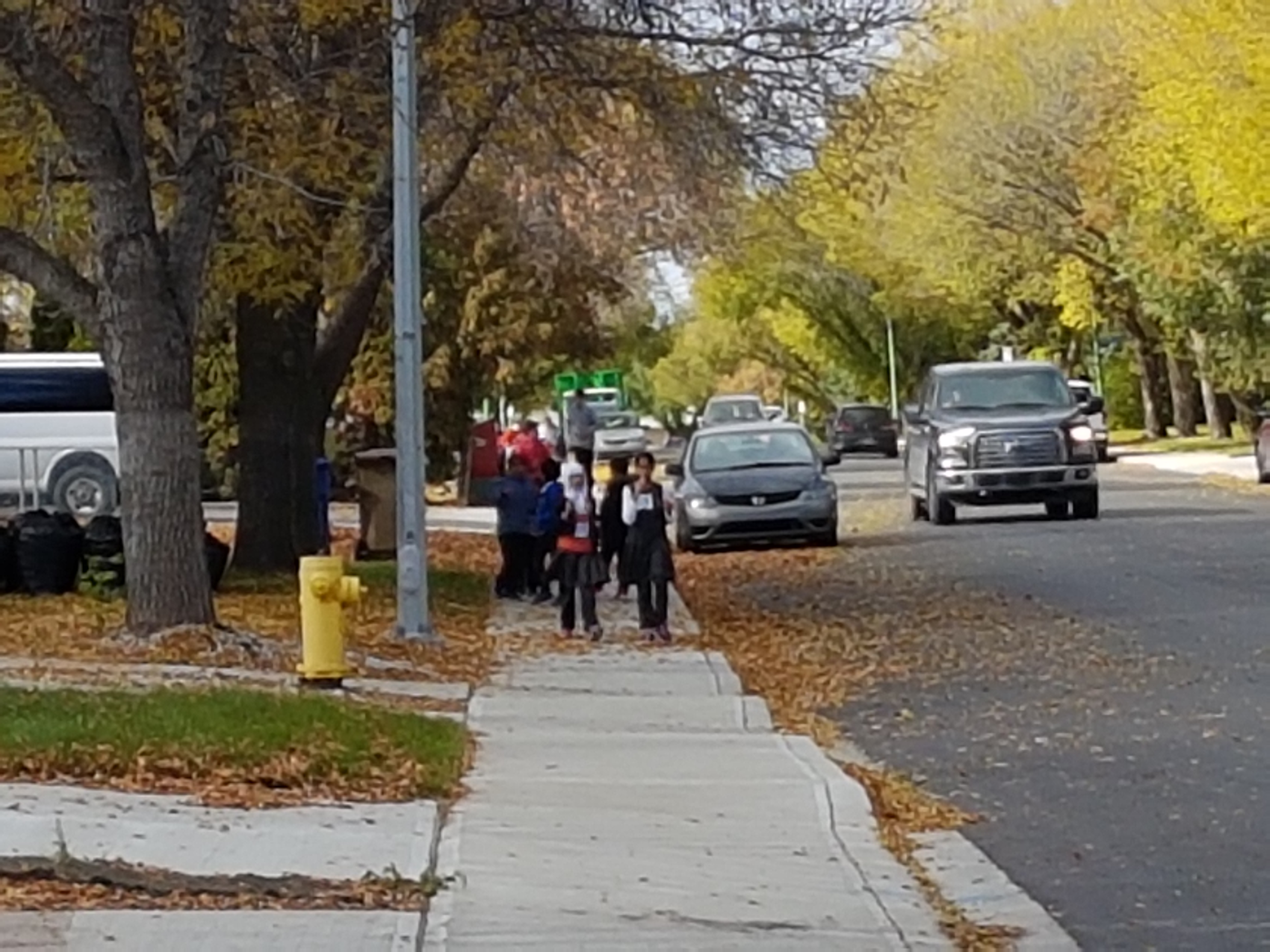 Terry Fox Run